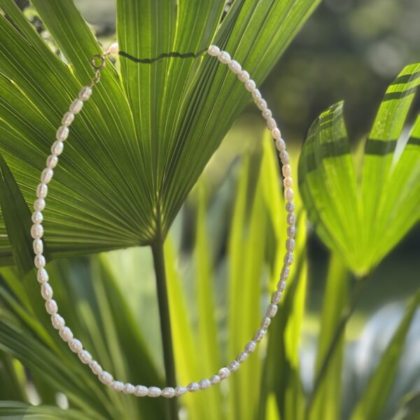 String of pearls – 40, 42, 45 cm – pärlhalsband förgyllt lås – äkta pärlor ca 5mm